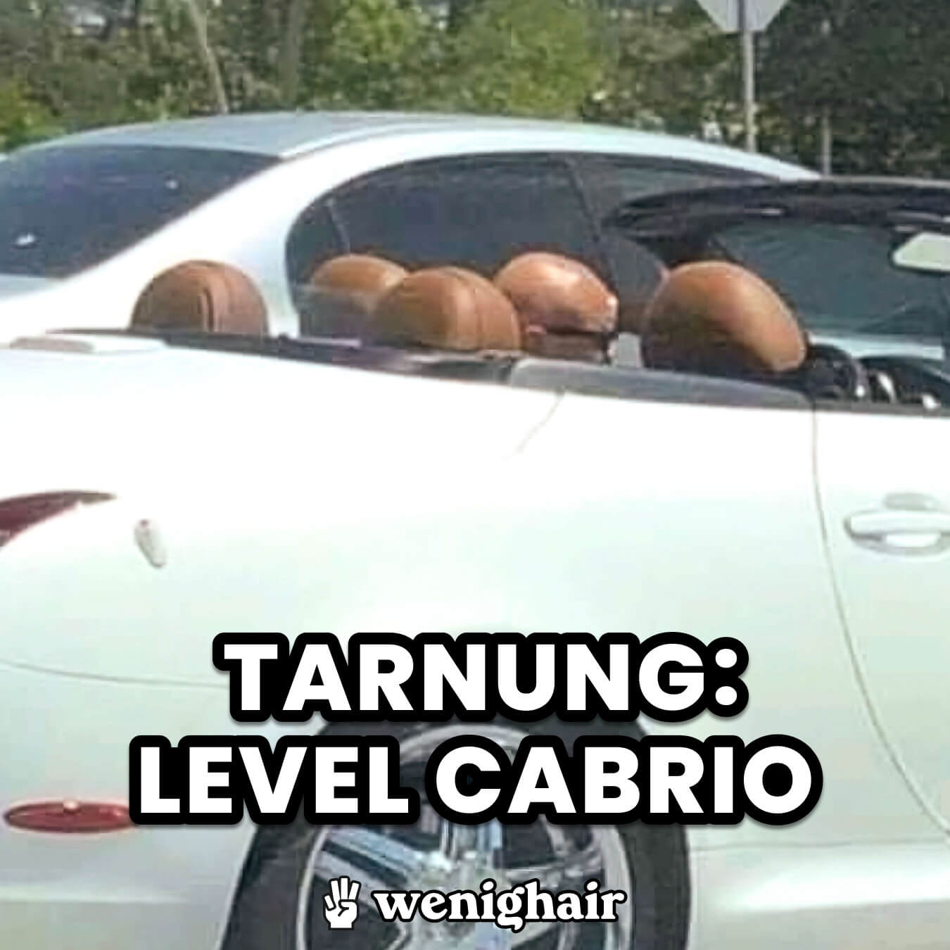 Ein Cabrio mit beigen Sitzen, die wie die Glatze des Fahrers aussehen. Text auf dem Bild: "Tarnung: Level Cabrio." Mit dem Logo von wenighair.