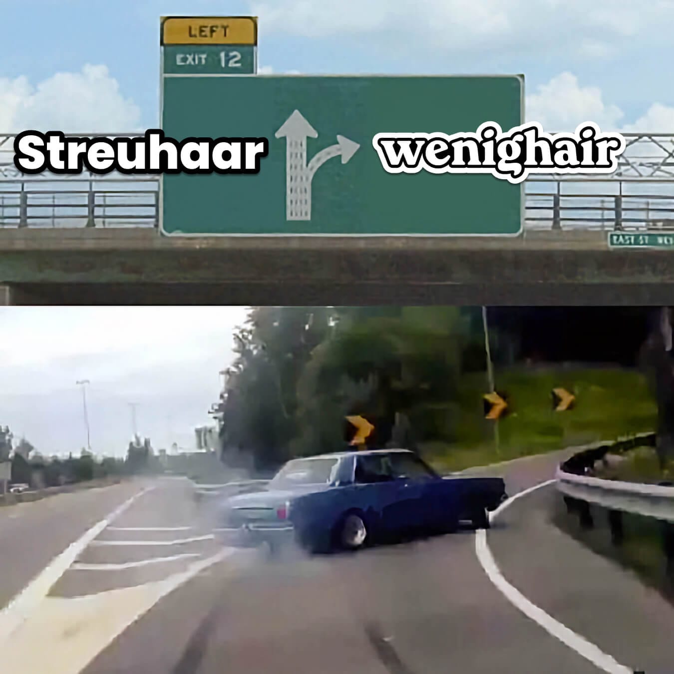 Humorvolles Verkehrsschild-Meme zeigt Richtungsweiser zwischen Streuhaar und wenig Haar als Alternative bei Haarausfall